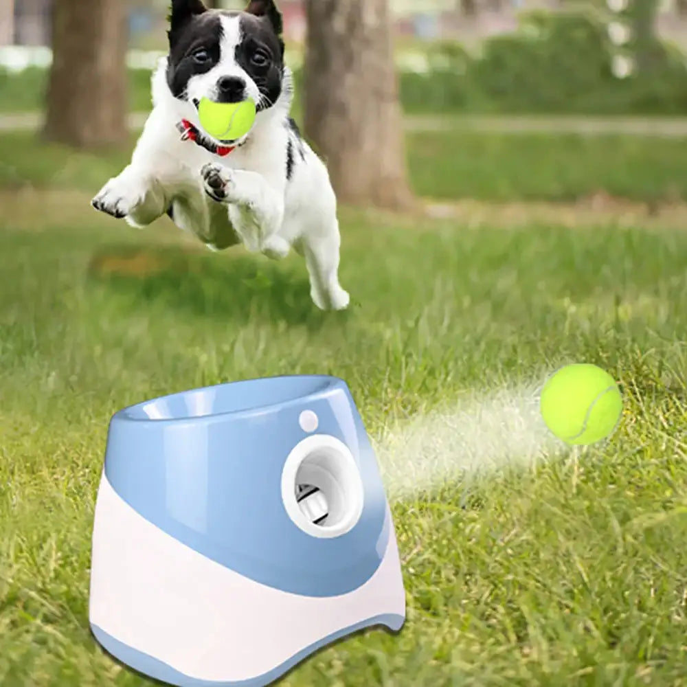 Automatic Tennis Ball Launcher